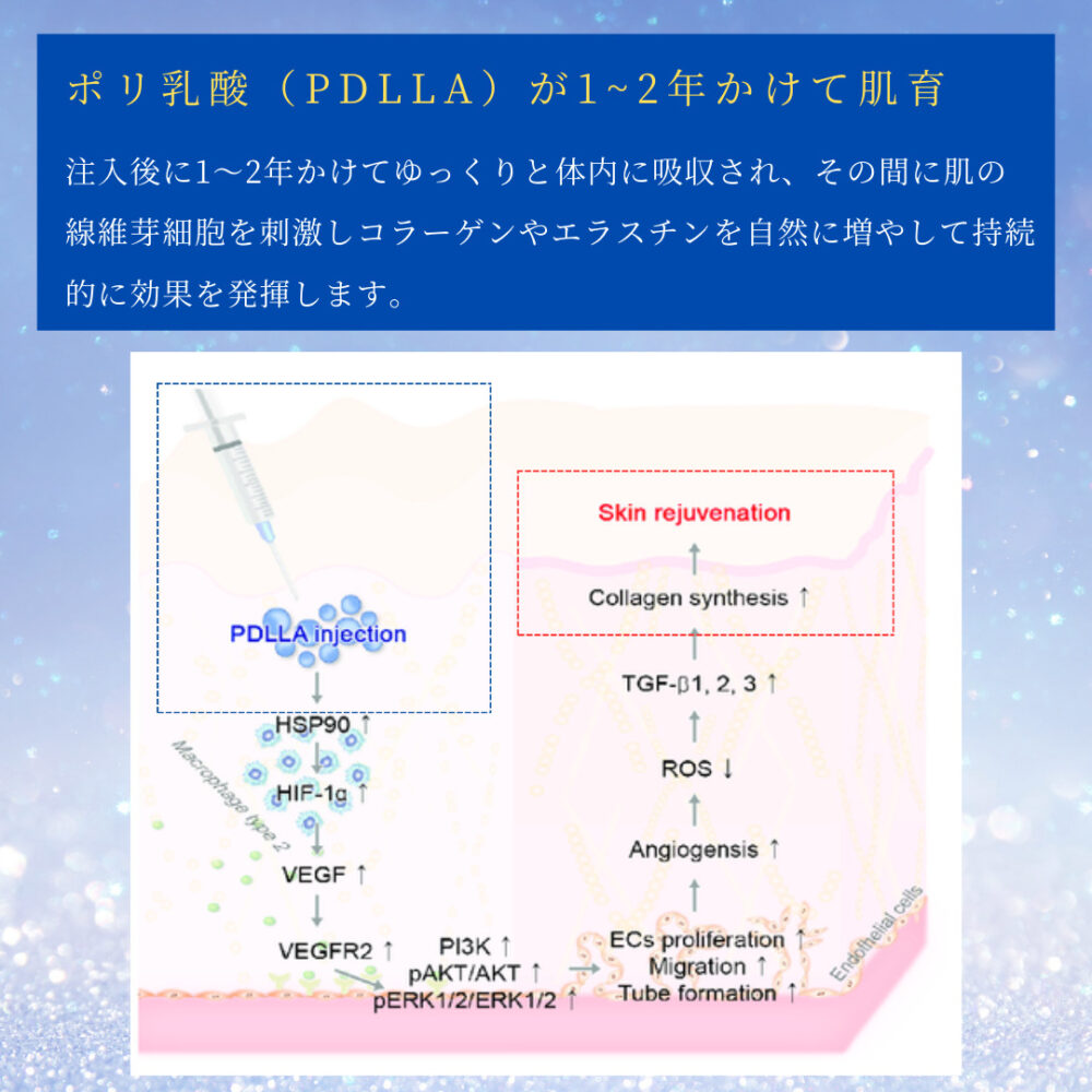 Jubeluk 的作用机制