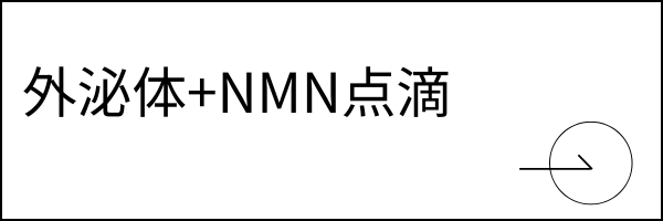 外泌体 + NMN