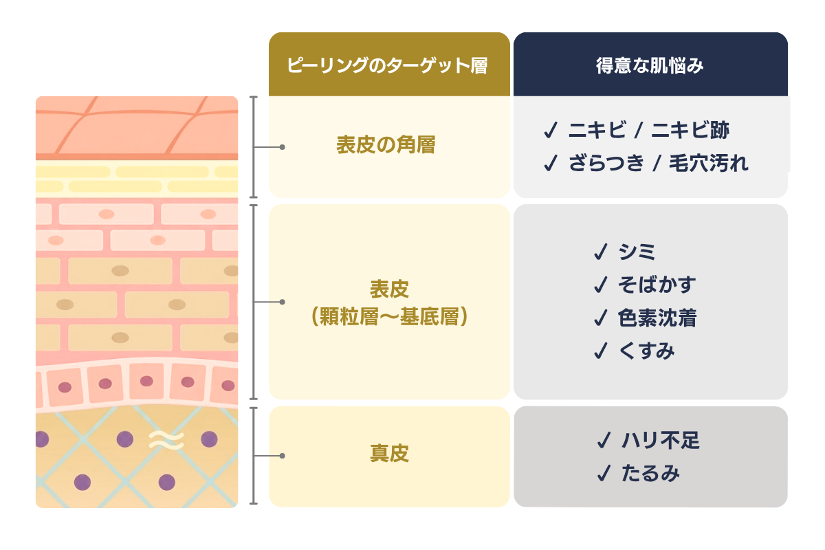 ジャルプログロウピール層毎の効果図解